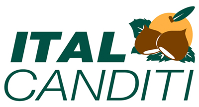 Italcanditi